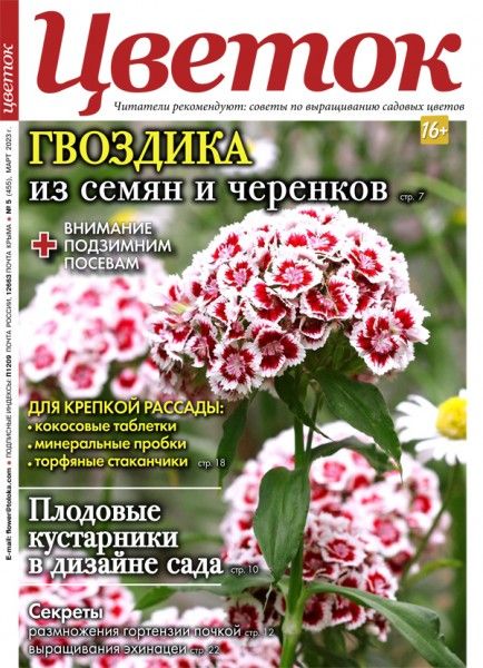 Цветок / Tsvetok